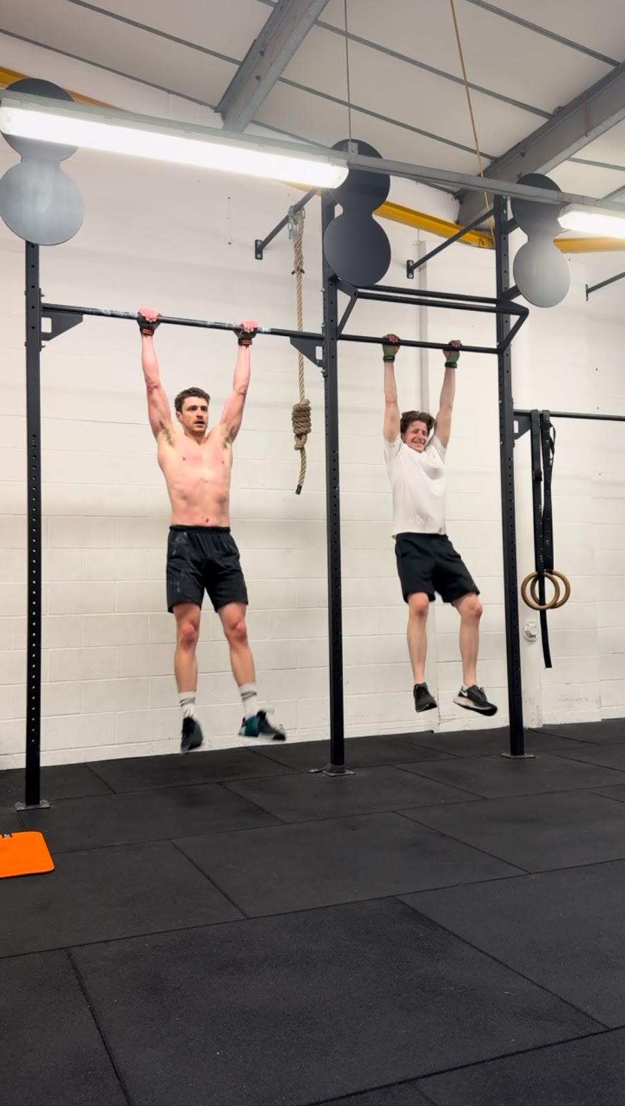 249 fitness - photo 3