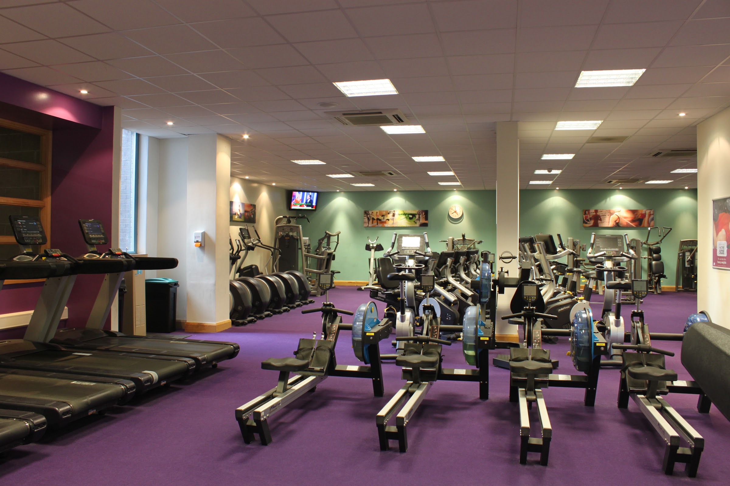 Active Medlock — photo 3