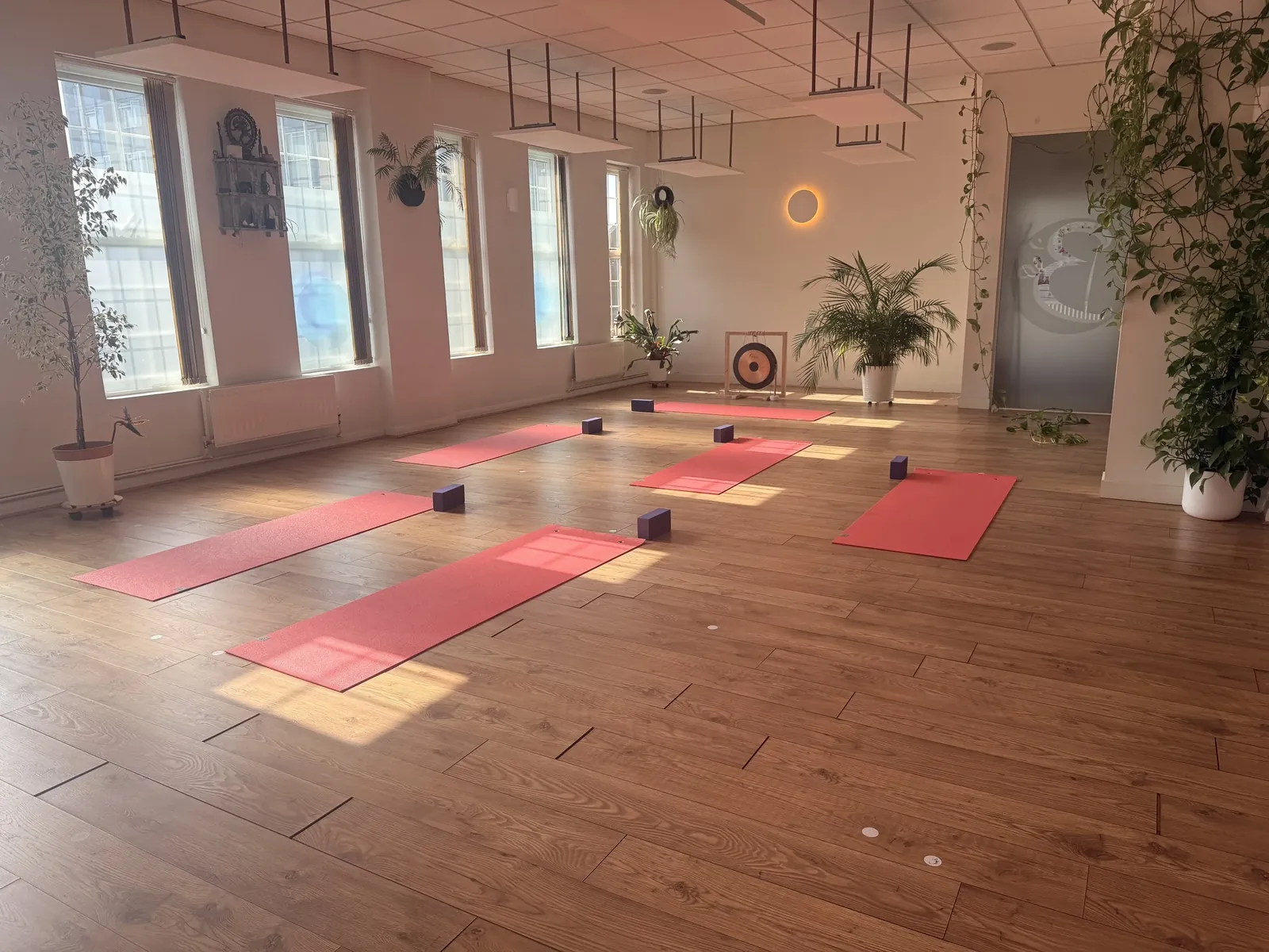 Be Yoga Sussex - photo 2