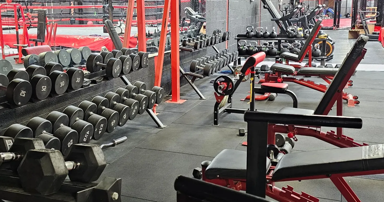 Cagefit Gyms - photo 2