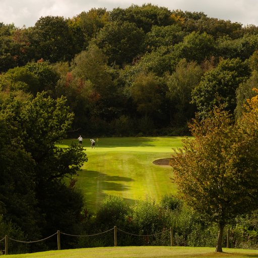 Dale Hill Hotel & Golf Club - photo 1