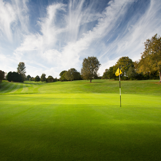 Dale Hill Hotel & Golf Club - photo 2