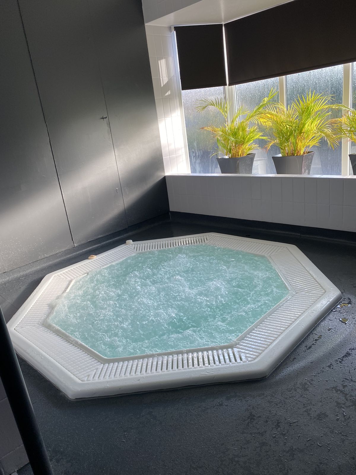 Dolphin Sauna - photo 2
