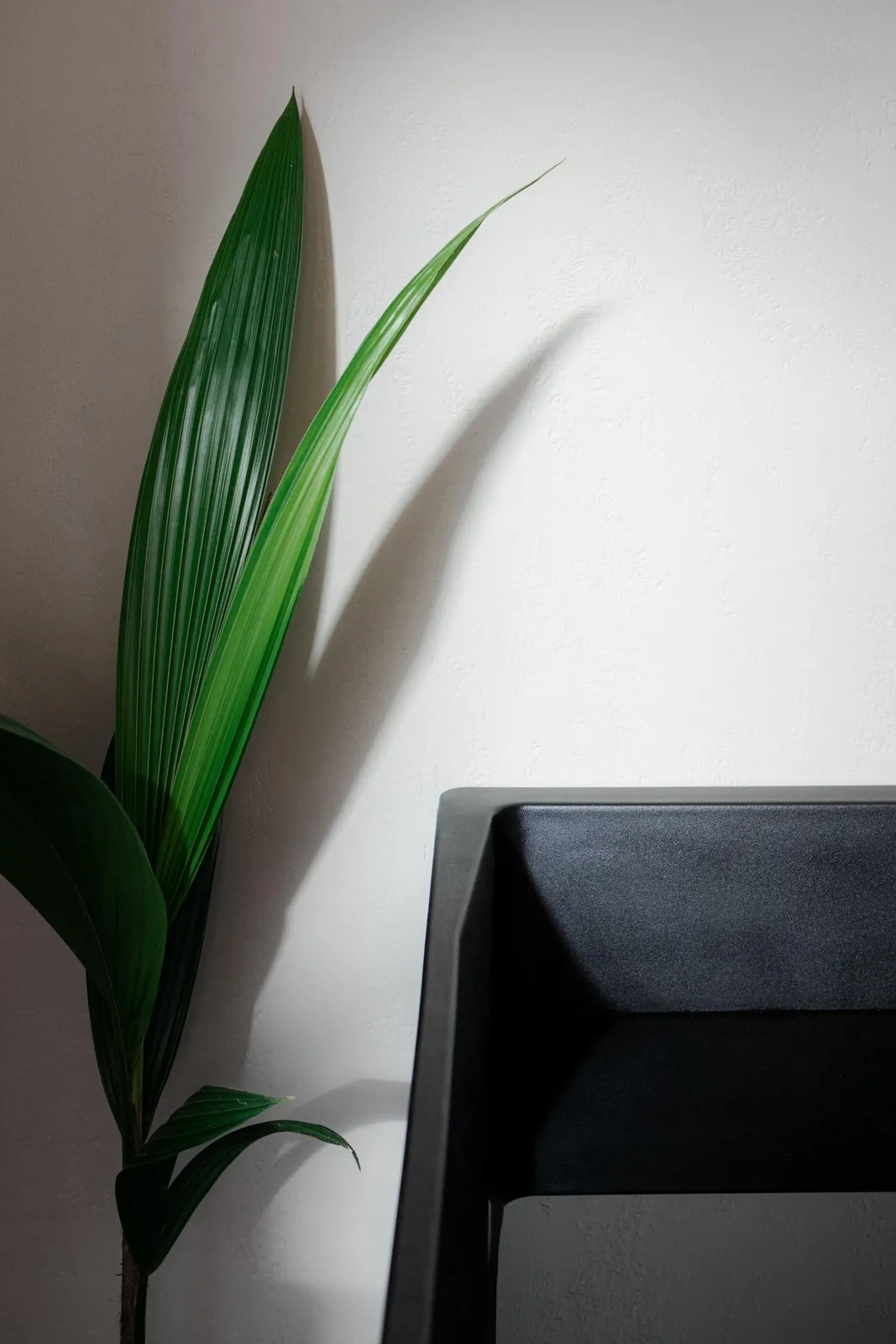 ELEV8TION Studio - photo 1