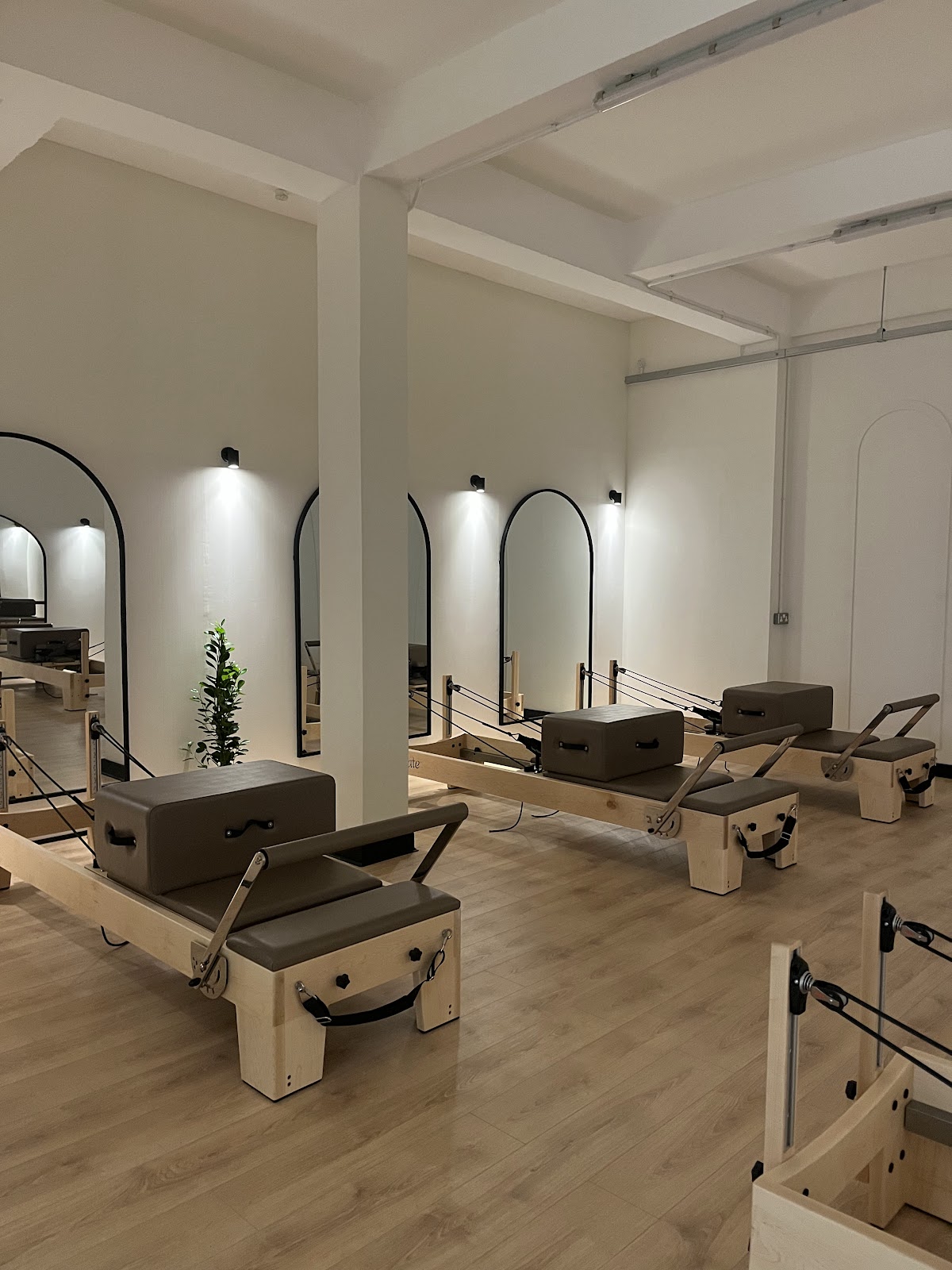 Elevate Pilates and Wellness Club - photo 3