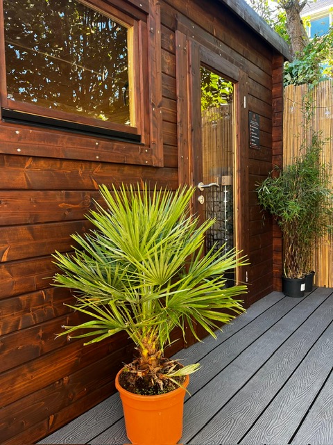 Flame Sauna & Cafe — photo 3