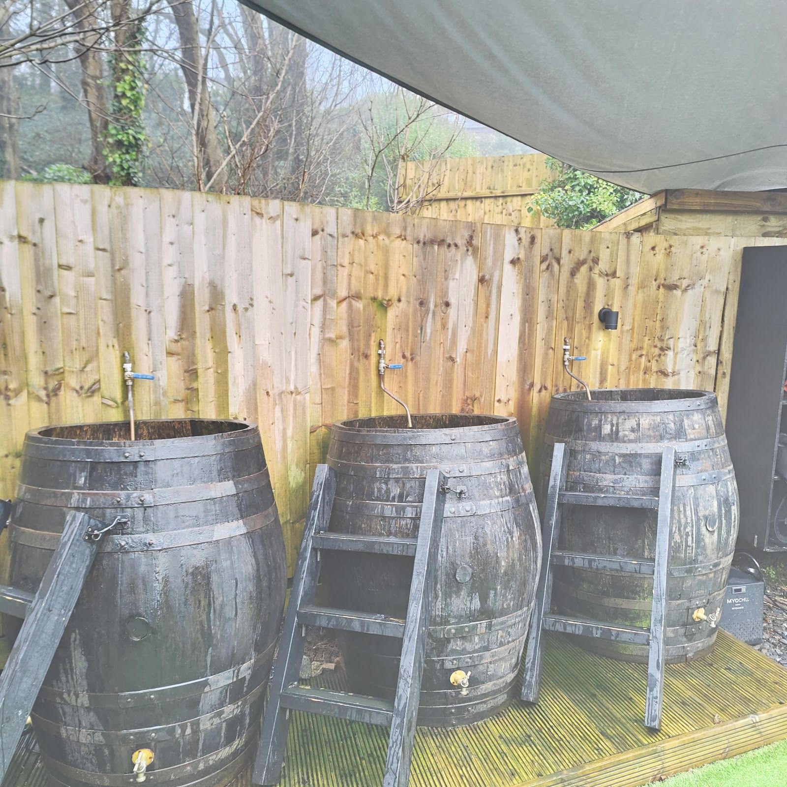 Halsa Sauna Caswell - photo 2