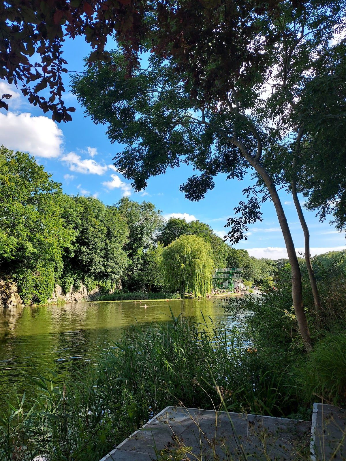 Henleaze Lake - photo 2