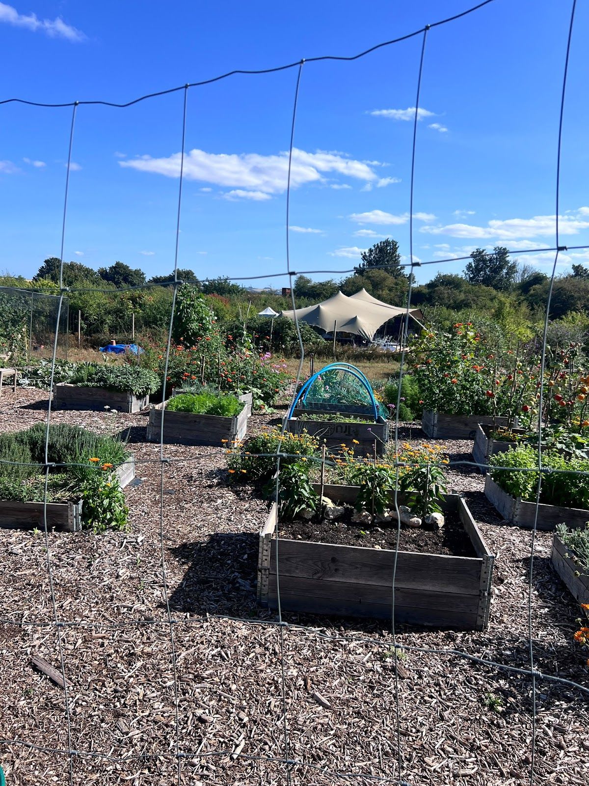 Jolly Moon Forest Garden - photo 2