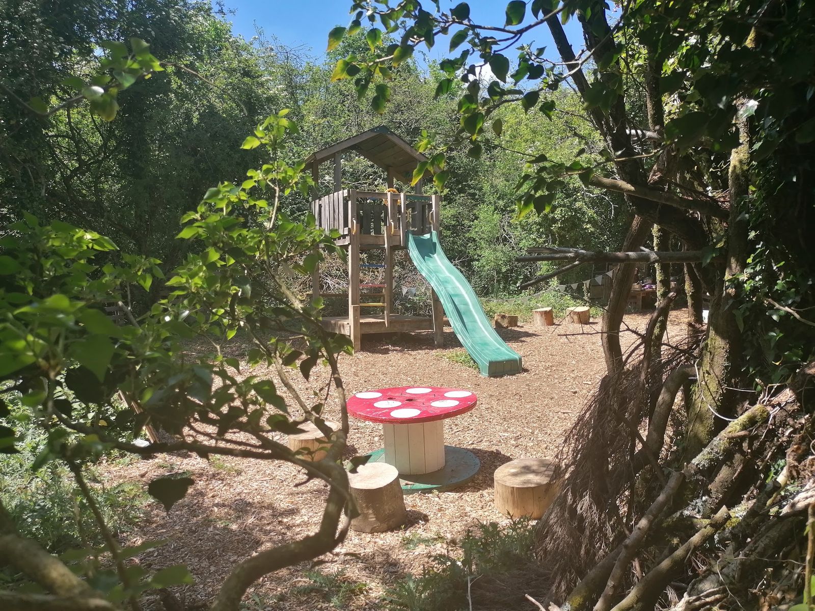 Jolly Moon Forest Garden - photo 3