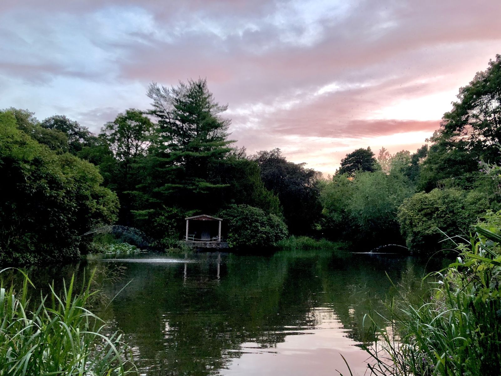 Mercure Sheffield Kenwood Hall & Spa - photo 3