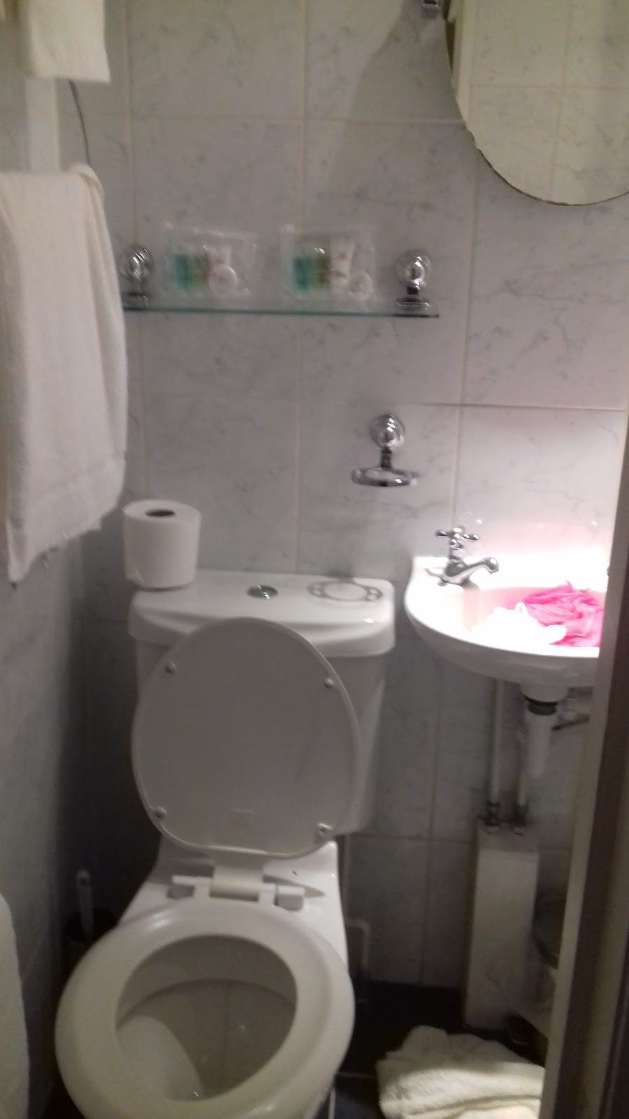 New Westcliff Hotel - photo 3