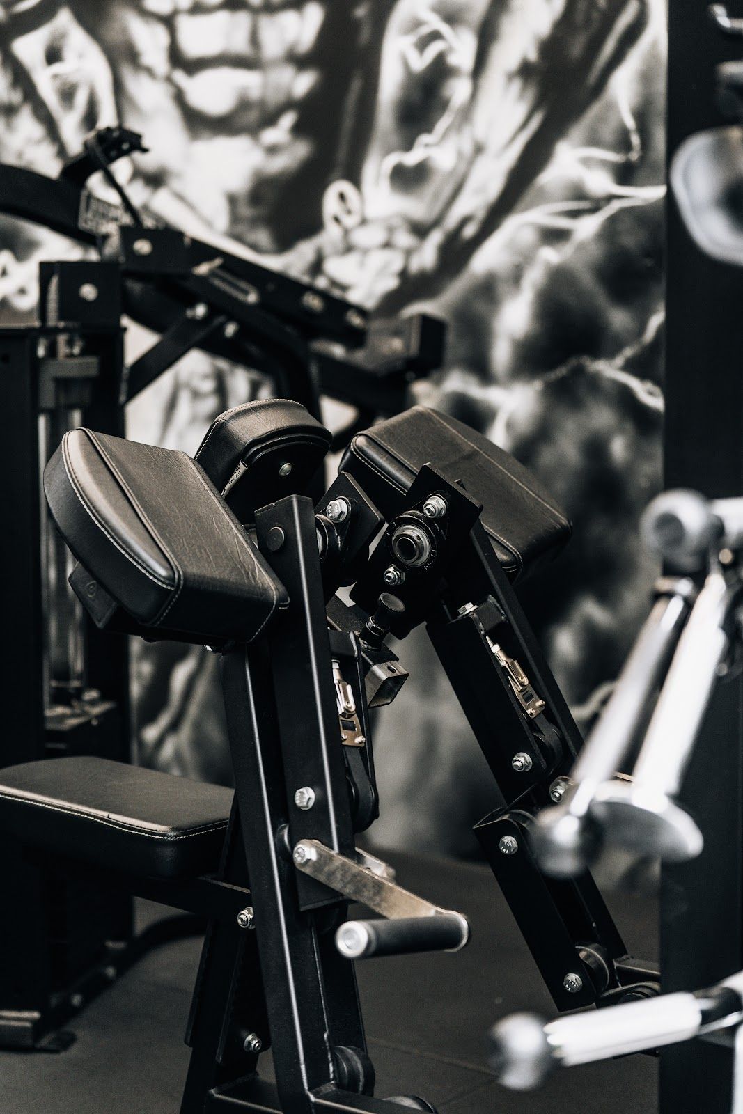Nitrogym - photo 3