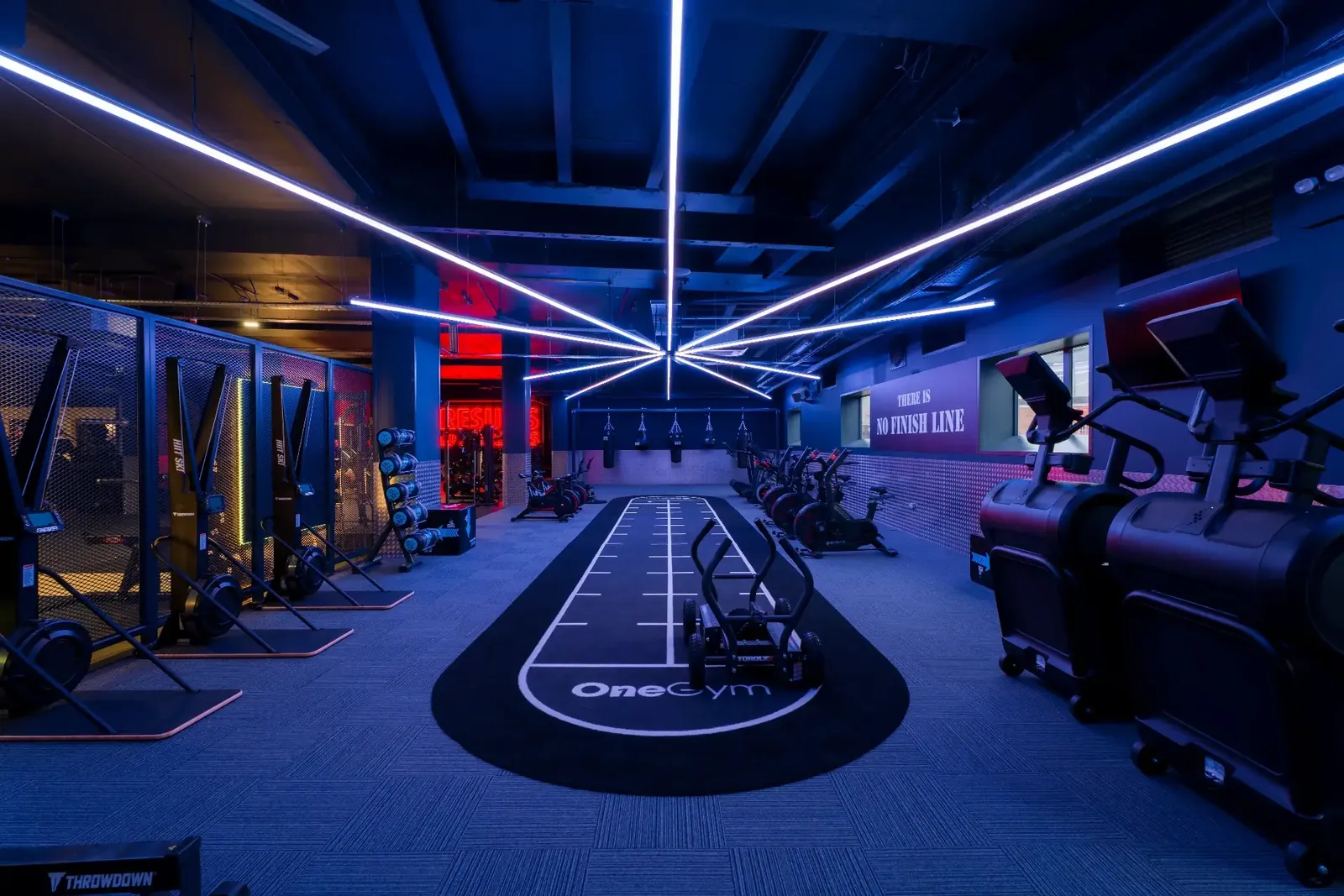 OneGym - photo 3