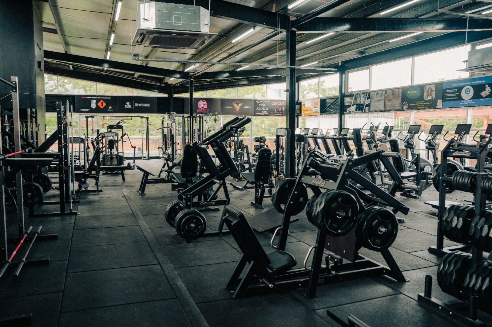Pegasus Gym - photo 3