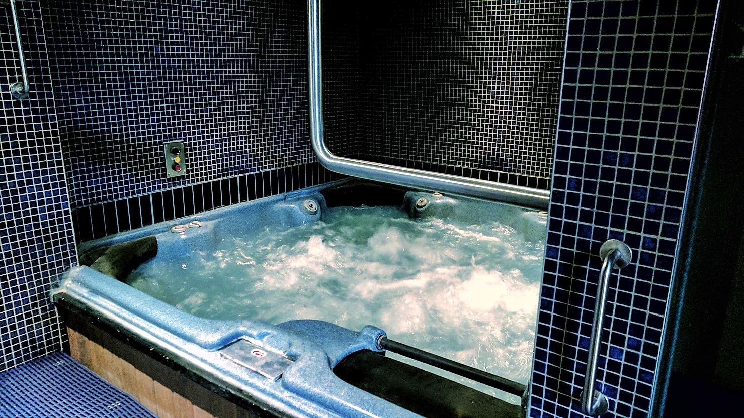 Plastic Ivy Sauna South Leeds - photo 2