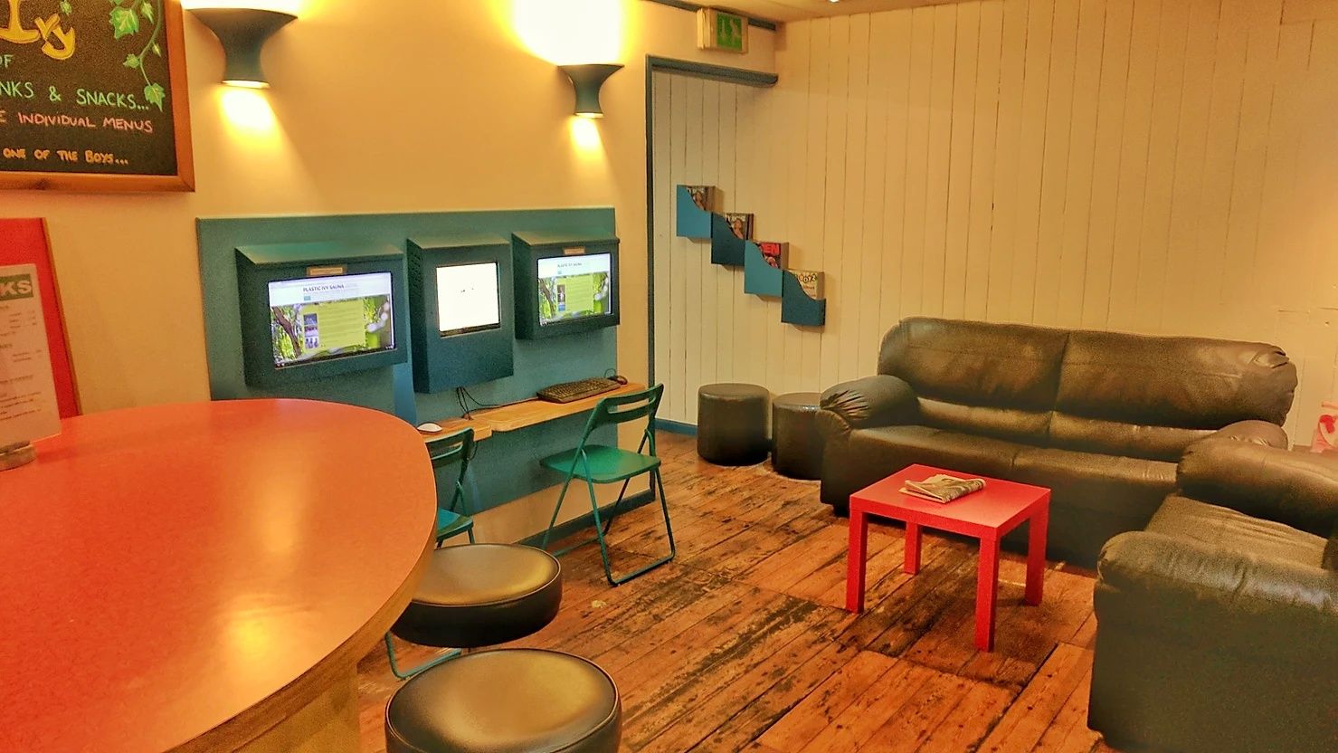 Plastic Ivy Sauna South Leeds - photo 3