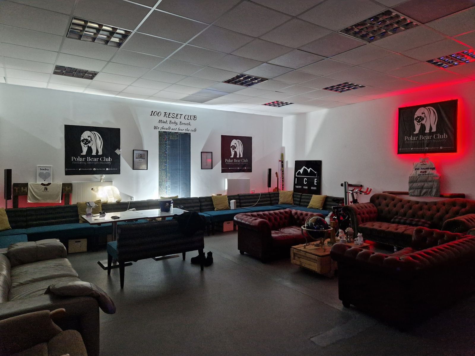Polar Bear Club — photo 2