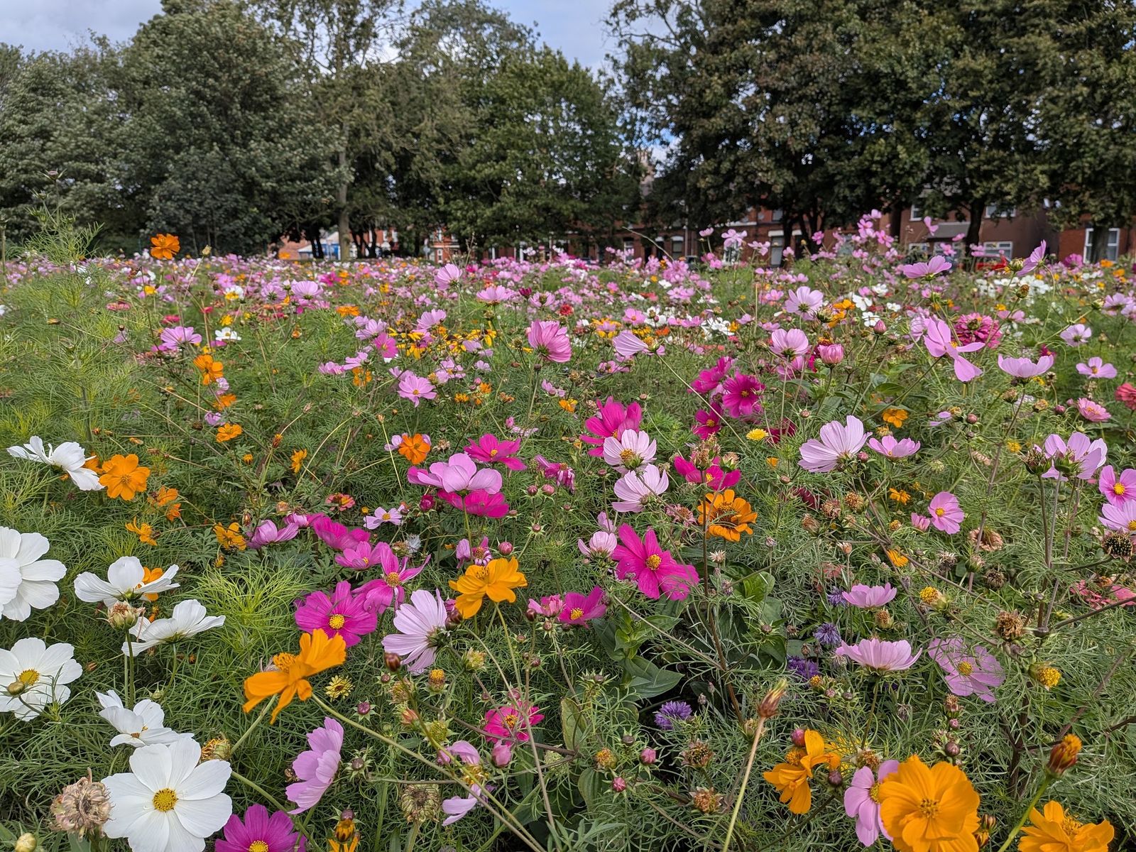 Queens Park - photo 2