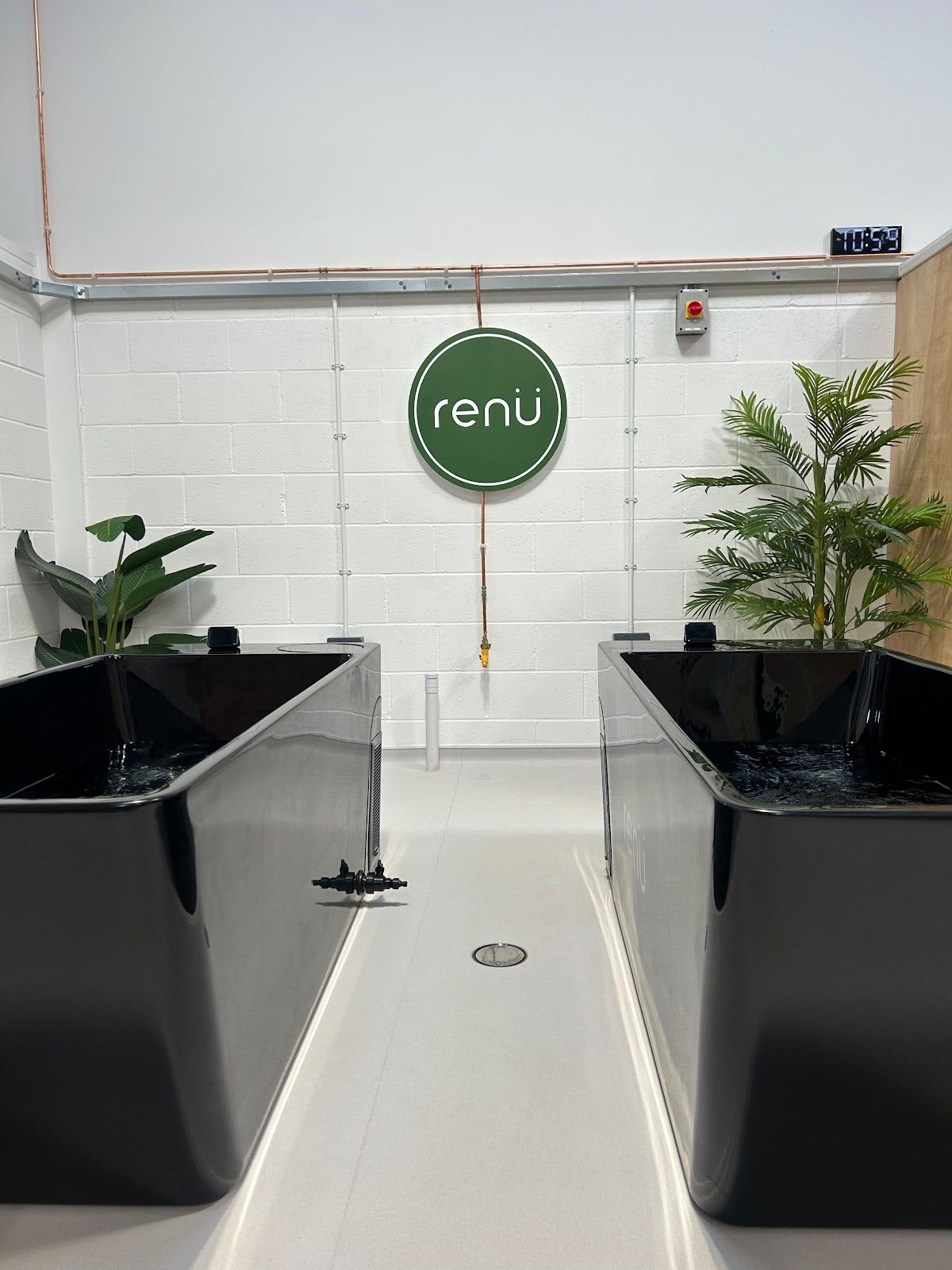 renü wellness - photo 2
