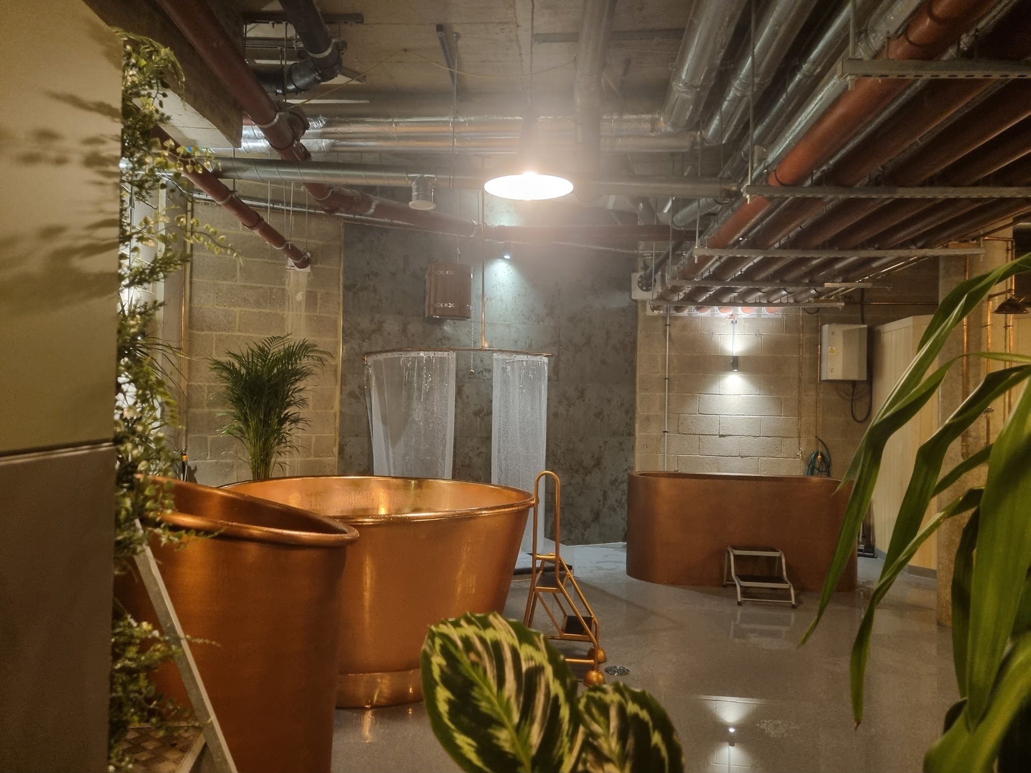 Revitalise Urban Spa — photo 3