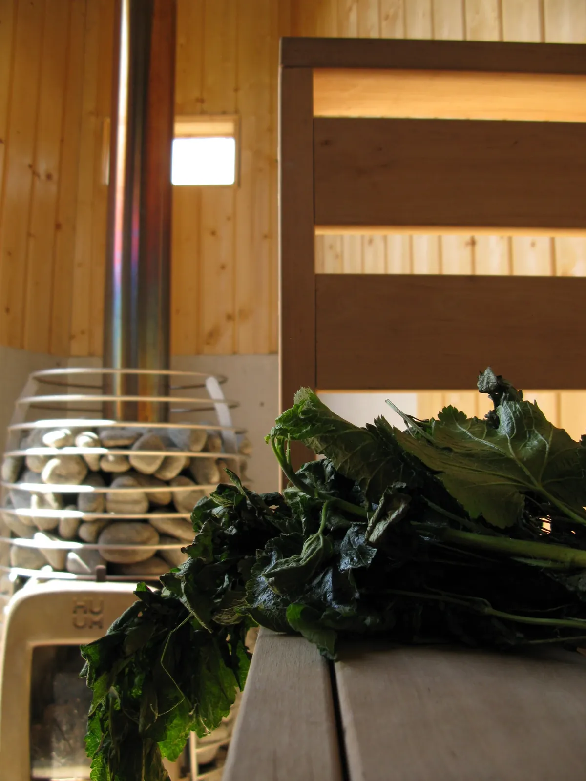 Roots & Rocks Sauna - photo 1
