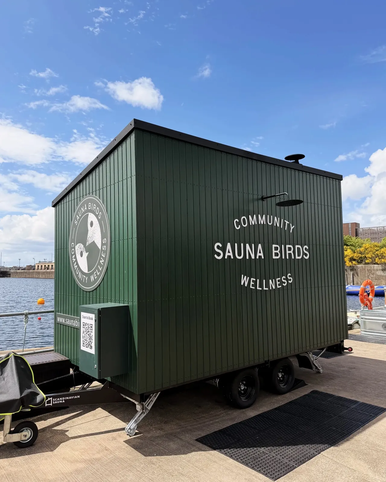 Sauna Birds - photo 3