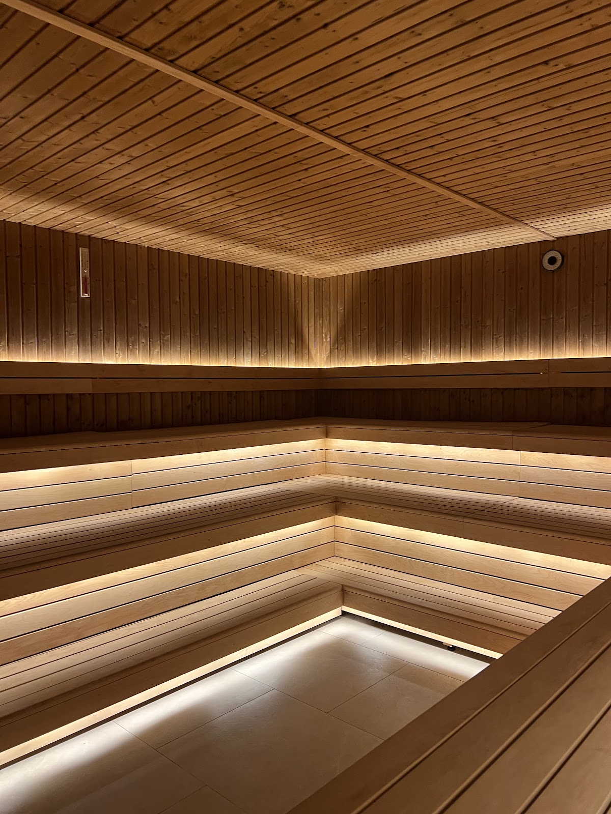 Society Wellness Club - photo 3