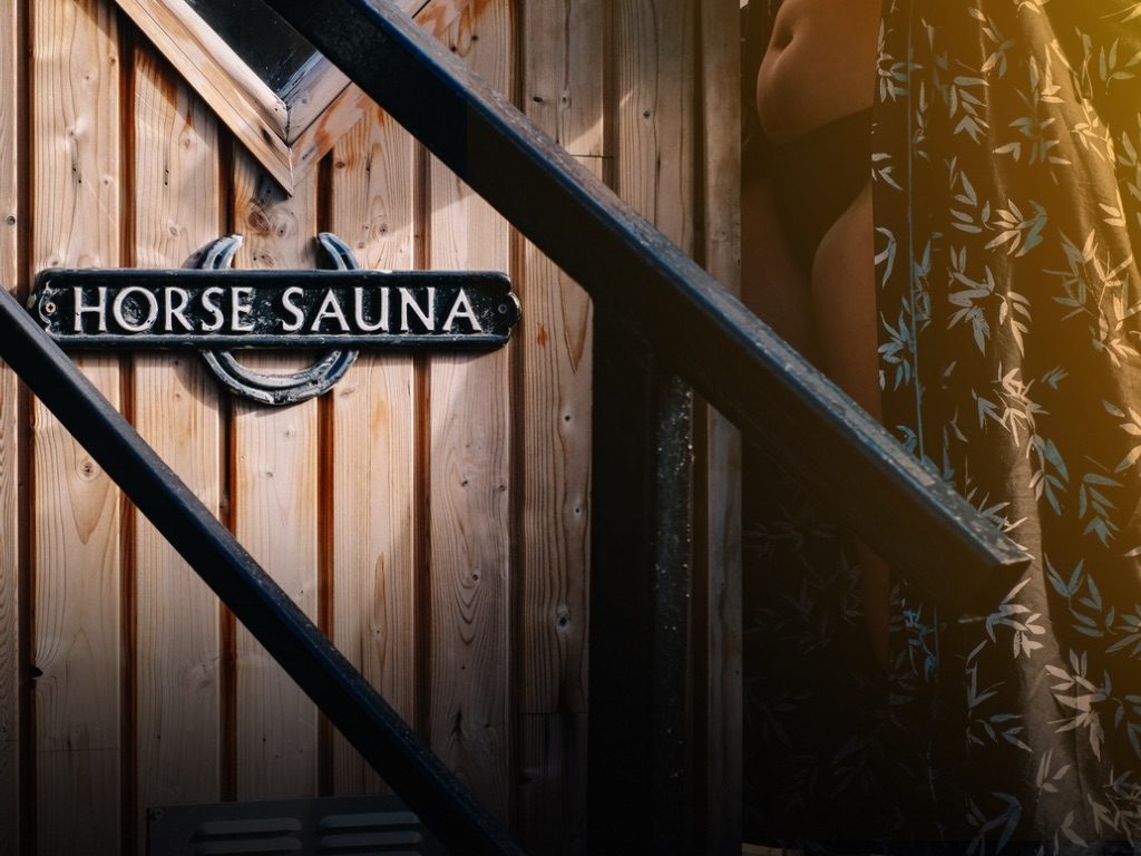 Sweheat Sauna — photo 4