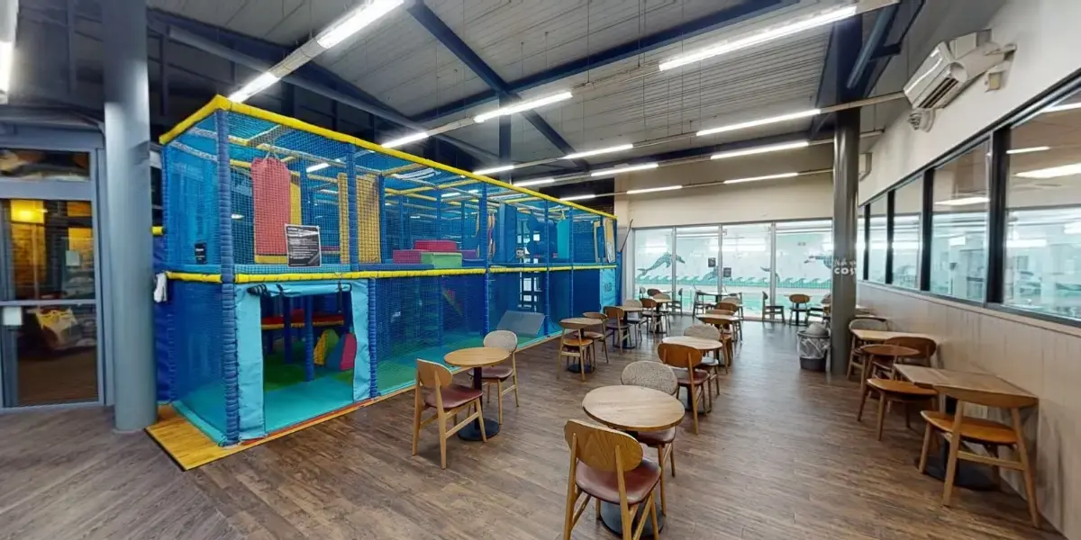 The Dolphin - photo 2
