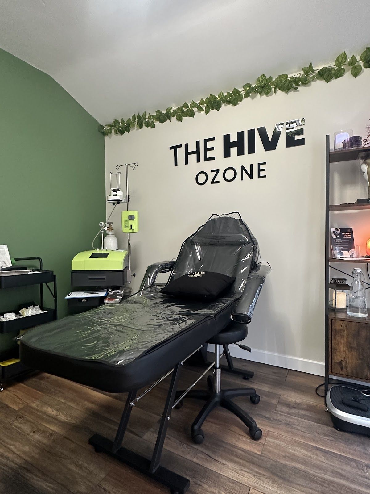 The Hive O'zone - photo 2