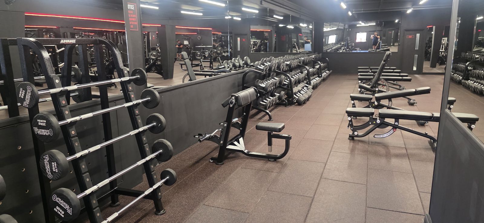 The Muscle Lab - photo 3