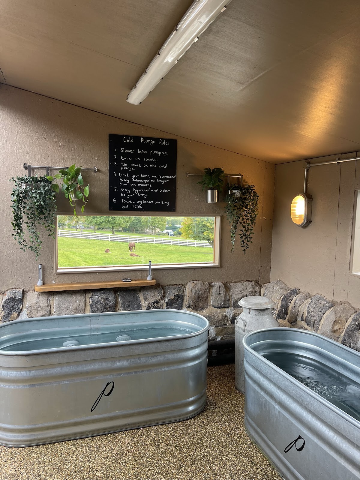 The Paddock Wellness Club - photo 2