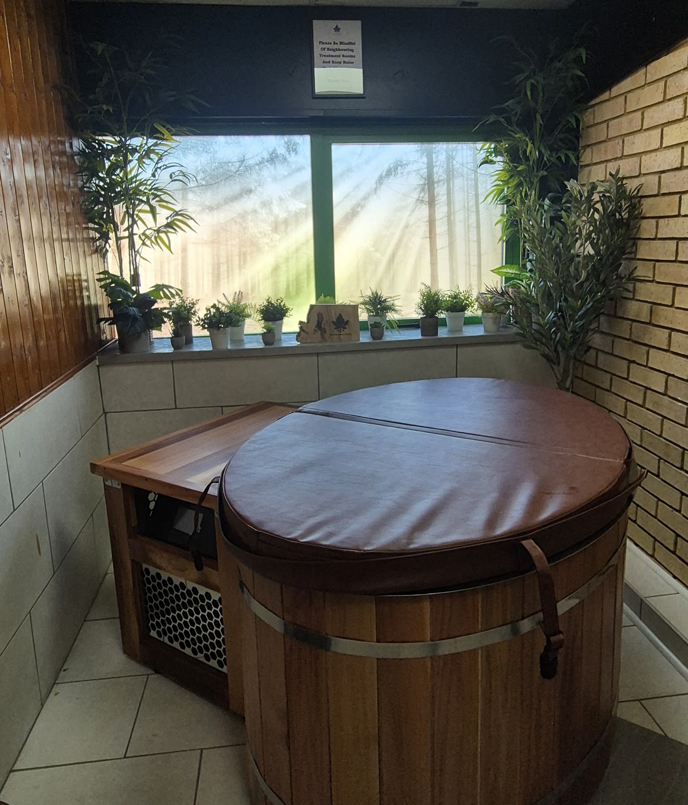 The Recovery Room - photo 2