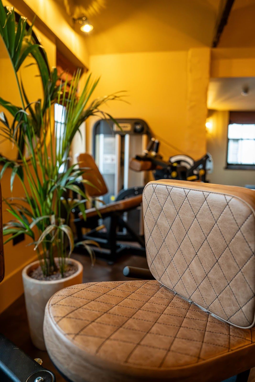The Workshop Gym - photo 2