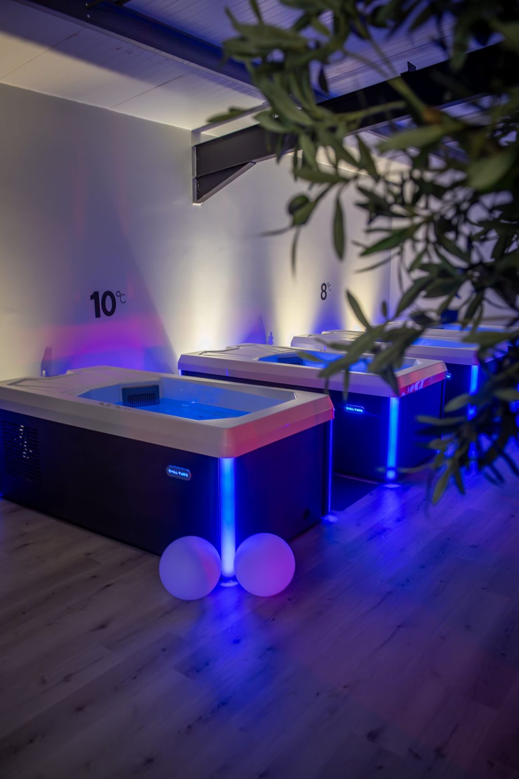 THRYV Wellness Studio - photo 1