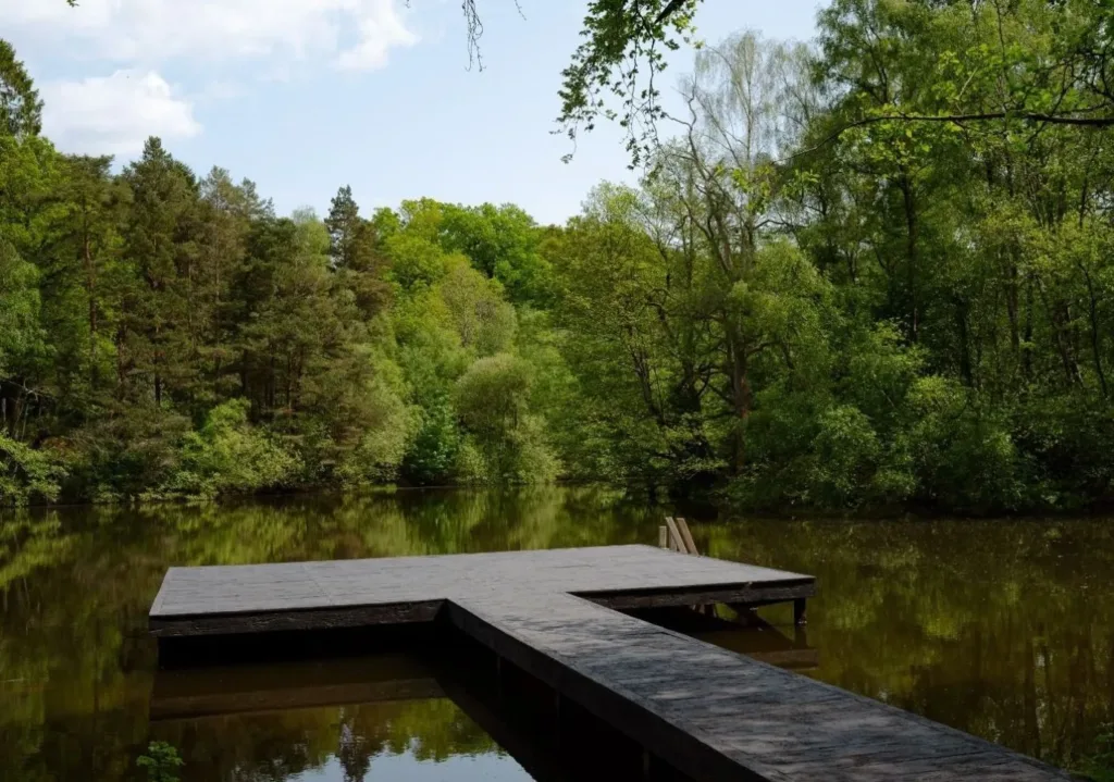 Wasing Wild Swim & Sauna - photo 2
